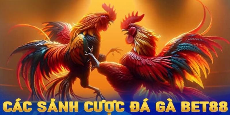 Hình thức đá gà Bet88 quen thuộc 