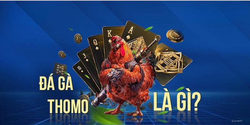 Khái quát về đá gà tại BET88