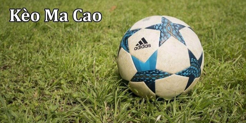 Đôi nét sơ lược về loại hình kèo tại địa chỉ Bet88