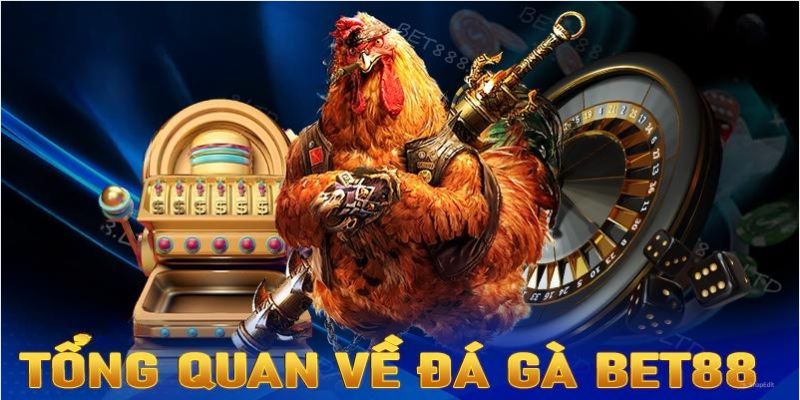 Thông tin tổng quan về sân chơi đá gà tại Bet88