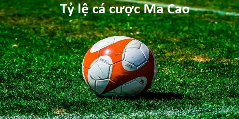 Một số loại kèo Macau phổ biến tại nền tảng địa chỉ Bet88