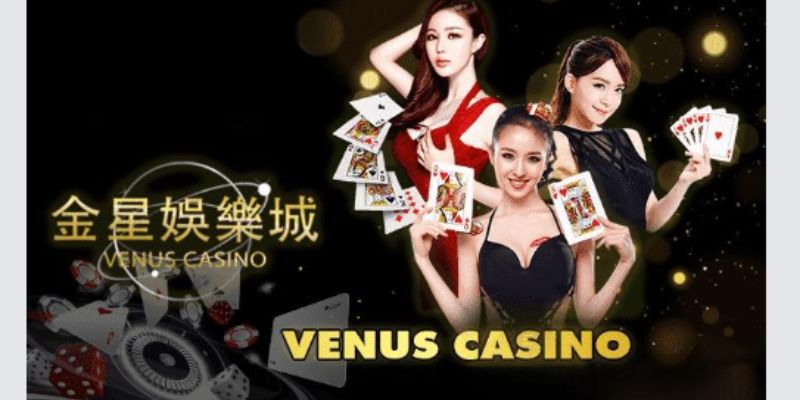 Ưu điểm khi tham gia giải trí tại Venus casino