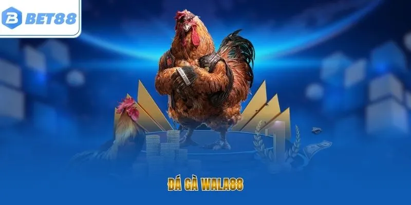 Đá gà Wala88