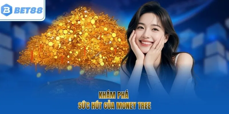 Khám phá sức hút của money tree
