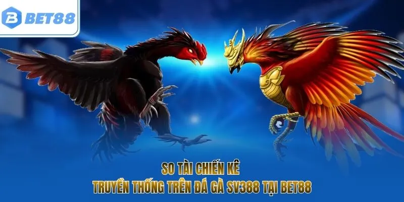 So tài chiến kê truyền thống trên đá gà SV388 tại Bet88
