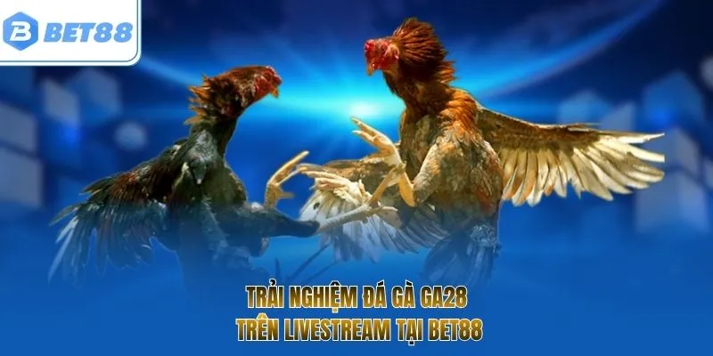 Trải nghiệm đá gà GA28 trên livestream tại Bet88